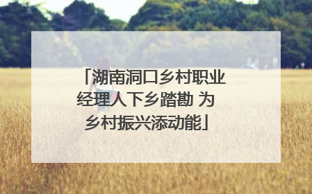 湖南洞口乡村职业经理人下乡踏勘 为乡村振兴添动能