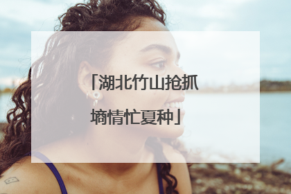 湖北竹山抢抓墒情忙夏种