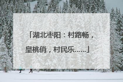 湖北枣阳：村路畅，皇桃俏，村民乐……