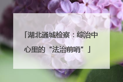 湖北通城检察：综治中心里的“法治前哨”