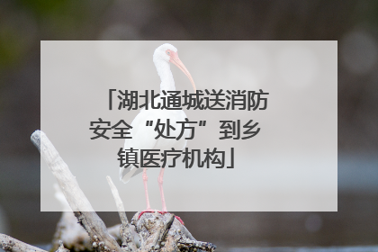 湖北通城送消防安全“处方”到乡镇医疗机构