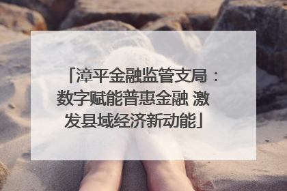 漳平金融监管支局：数字赋能普惠金融 激发县域经济新动能