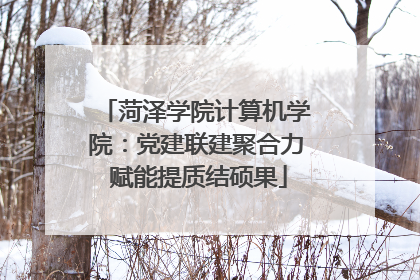 菏泽学院计算机学院：党建联建聚合力 赋能提质结硕果