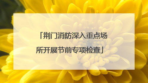荆门消防深入重点场所开展节前专项检查