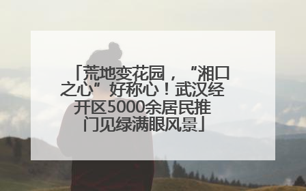 荒地变花园，“湘口之心”好称心！武汉经开区5000余居民推门见绿满眼风景