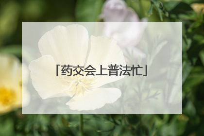 药交会上普法忙