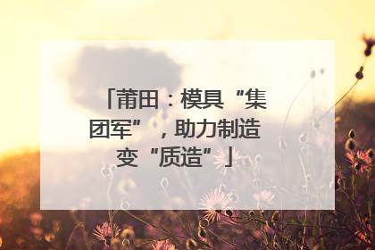 莆田：模具“集团军”，助力制造变“质造”