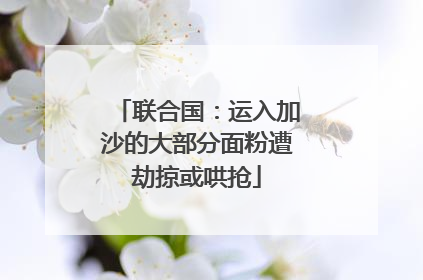 联合国：运入加沙的大部分面粉遭劫掠或哄抢