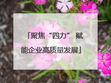 聚焦“四力” 赋能企业高质量发展