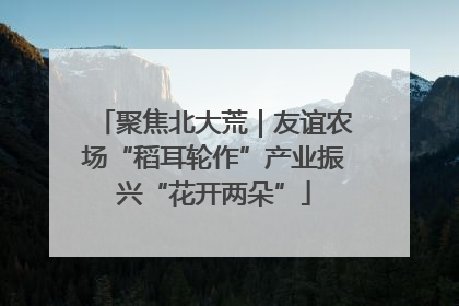 聚焦北大荒｜友谊农场“稻耳轮作”产业振兴“花开两朵”