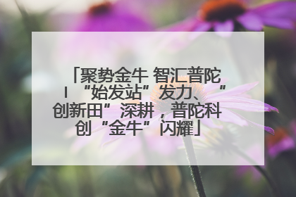 聚势金牛 智汇普陀〡“始发站”发力、“创新田”深耕，普陀科创“金牛”闪耀
