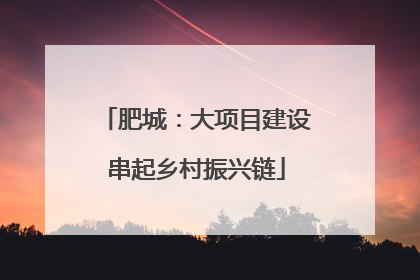 肥城：大项目建设串起乡村振兴链