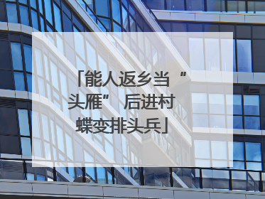 能人返乡当“头雁” 后进村蝶变排头兵