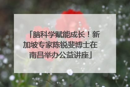 脑科学赋能成长！新加坡专家陈锐斐博士在南昌举办公益讲座