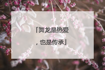 舞龙是热爱，也是传承