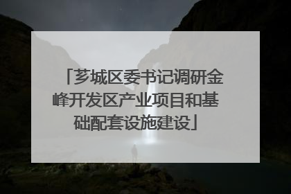 芗城区委书记调研金峰开发区产业项目和基础配套设施建设
