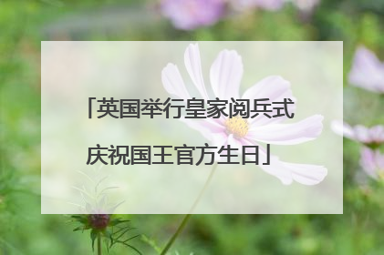 英国举行皇家阅兵式庆祝国王官方生日