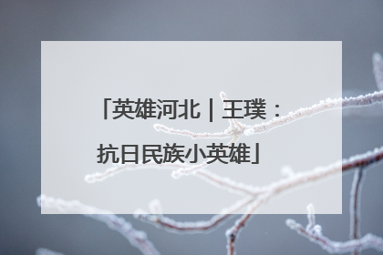 英雄河北｜王璞：抗日民族小英雄