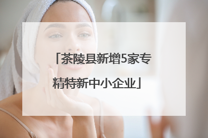 茶陵县新增5家专精特新中小企业