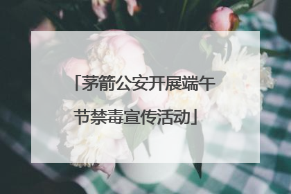 茅箭公安开展端午节禁毒宣传活动