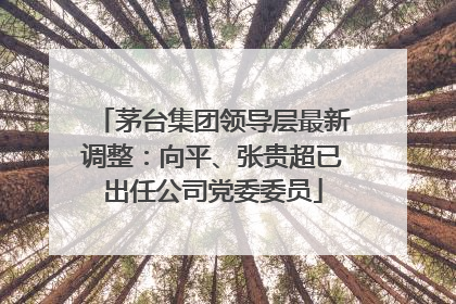 茅台集团领导层最新调整：向平、张贵超已出任公司党委委员