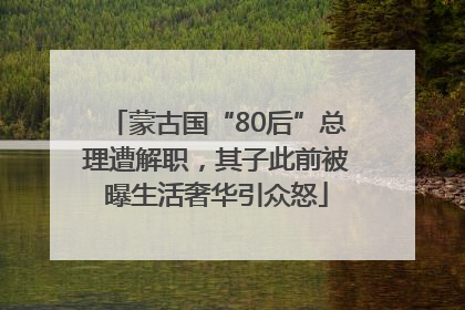 蒙古国“80后”总理遭解职，其子此前被曝生活奢华引众怒