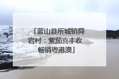 蓝山县所城镇舜岩村：紫茄喜丰收 畅销粤港澳