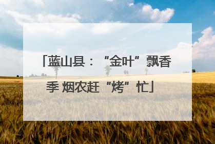 蓝山县：“金叶”飘香季 烟农赶“烤”忙