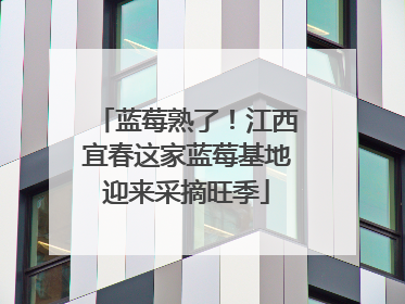 蓝莓熟了！江西宜春这家蓝莓基地迎来采摘旺季
