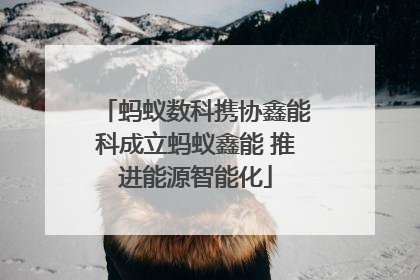 蚂蚁数科携协鑫能科成立蚂蚁鑫能 推进能源智能化