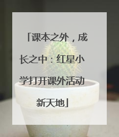 课本之外，成长之中：红星小学打开课外活动新天地