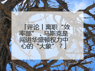 评论丨离职“效率部”，马斯克是闯进华盛顿权力中心的“大象”？
