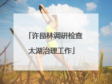 许昆林调研检查太湖治理工作