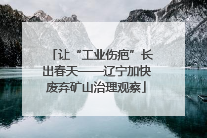 让“工业伤疤”长出春天——辽宁加快废弃矿山治理观察