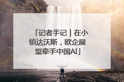 记者手记｜在小镇达沃斯，欧企展望牵手中国AI