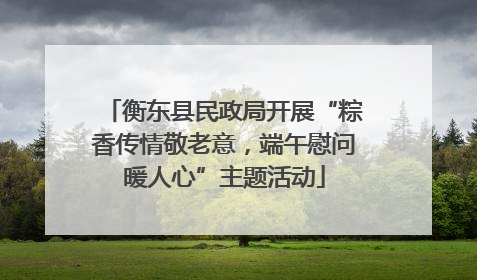 衡东县民政局开展“粽香传情敬老意，端午慰问暖人心”主题活动