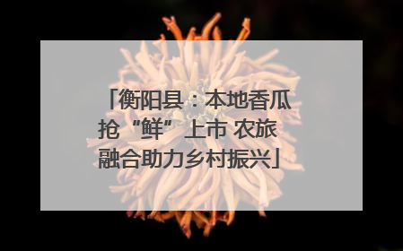 衡阳县：本地香瓜抢“鲜”上市 农旅融合助力乡村振兴
