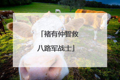 褚有仲智救八路军战士