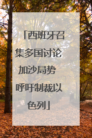 西班牙召集多国讨论加沙局势 呼吁制裁以色列