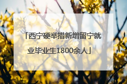 西宁硬举措新增留宁就业毕业生1800余人
