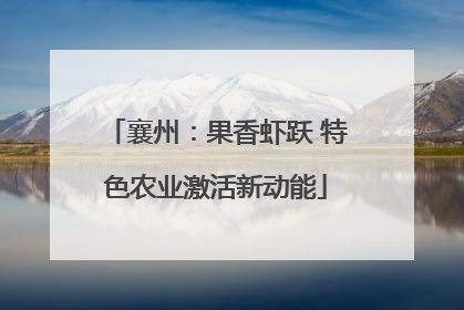 襄州：果香虾跃 特色农业激活新动能