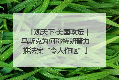 观天下·美国政坛｜马斯克为何称特朗普力推法案“令人作呕”