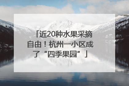 近20种水果采摘自由！杭州一小区成了“四季果园”