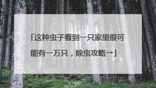这种虫子看到一只家里很可能有一万只，除虫攻略→