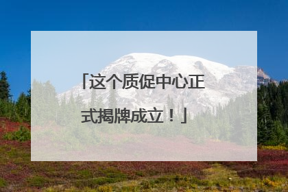这个质促中心正式揭牌成立！