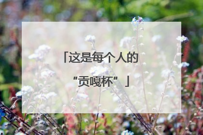 这是每个人的“贡嘎杯”