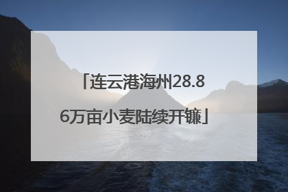 连云港海州28.86万亩小麦陆续开镰