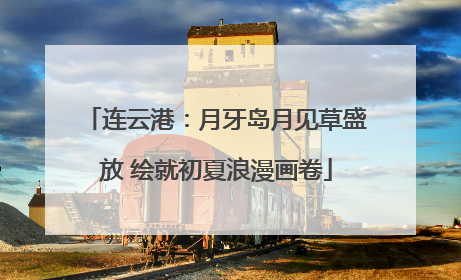 连云港：月牙岛月见草盛放 绘就初夏浪漫画卷
