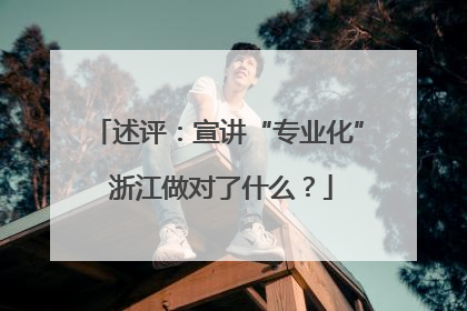 述评：宣讲“专业化” 浙江做对了什么？