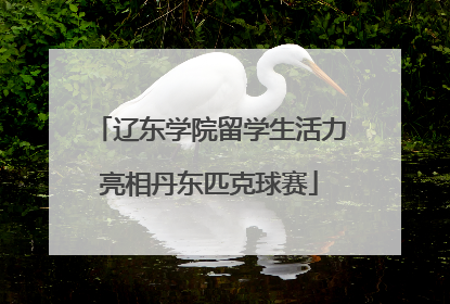 辽东学院留学生活力亮相丹东匹克球赛